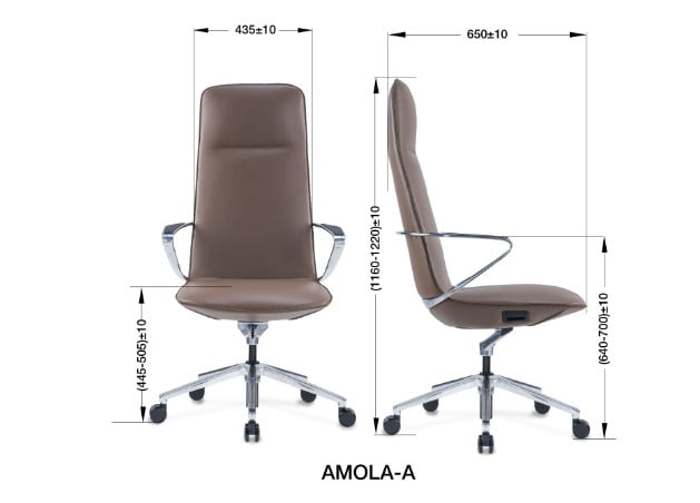 Ghế giám đốc Amola