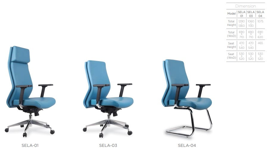 Ghế giám đốc SELGIO